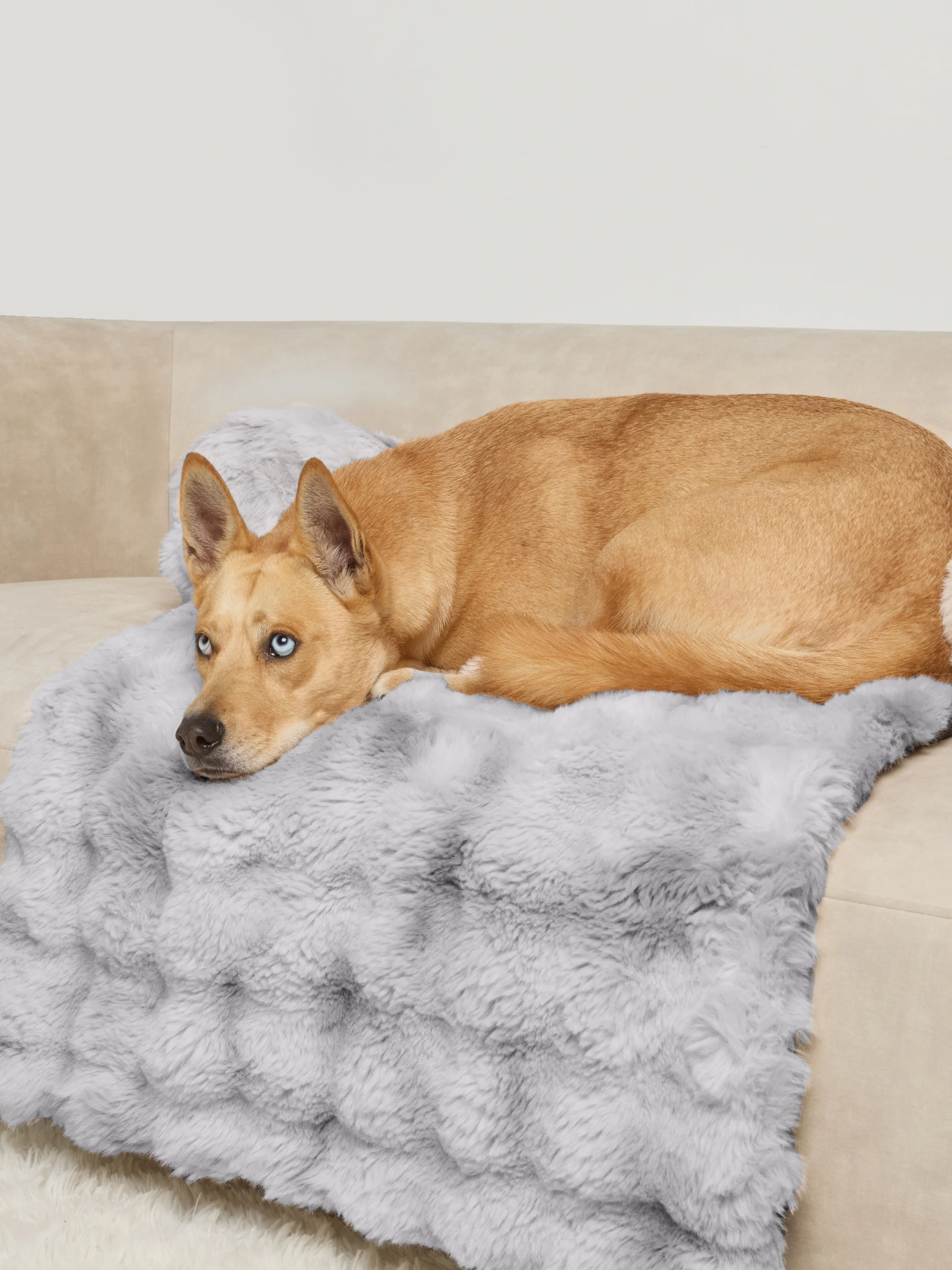 Dream Cloud Pet Sofa Bed - Image 12