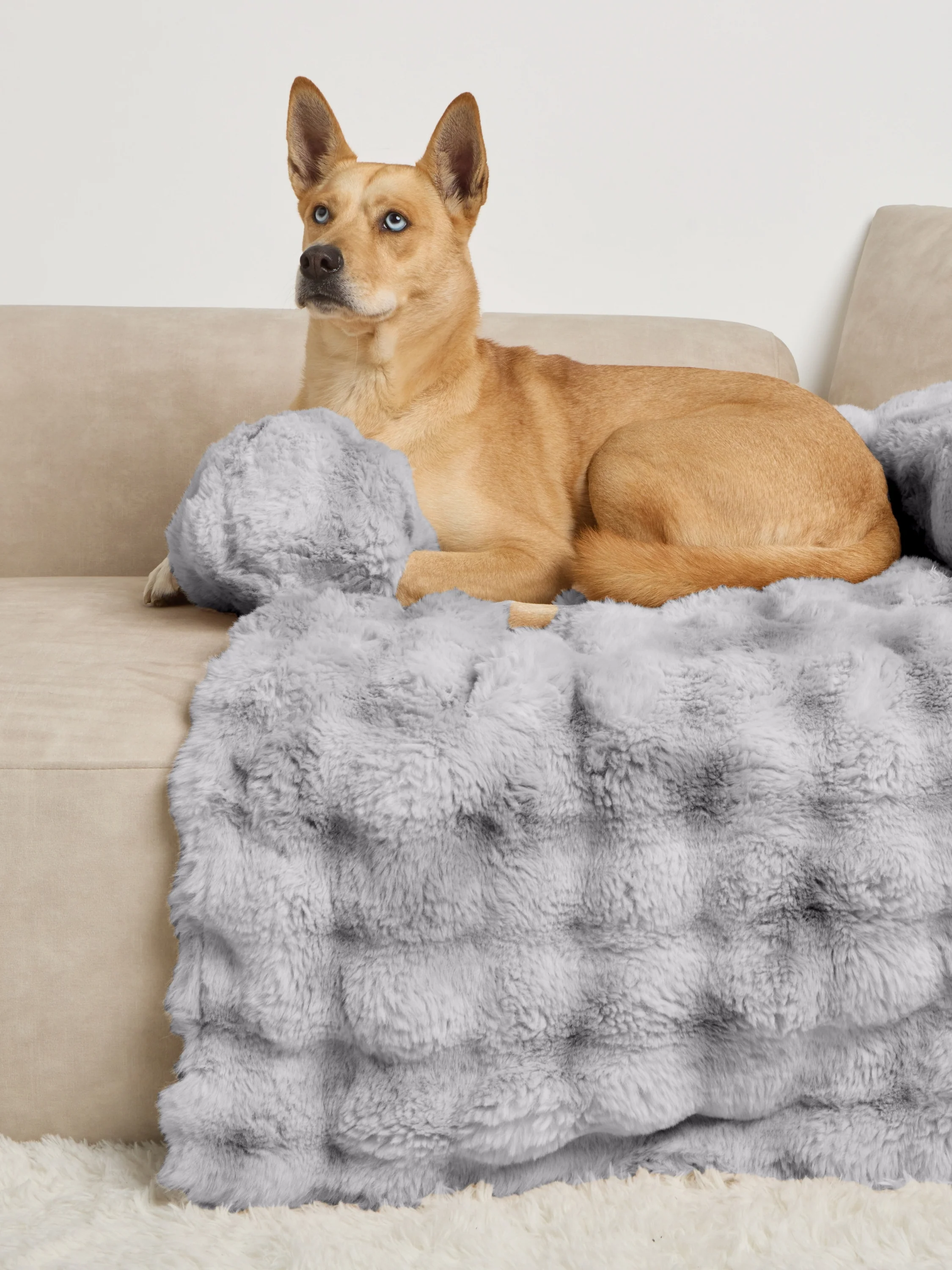 Dream Cloud Pet Sofa Bed - Image 9