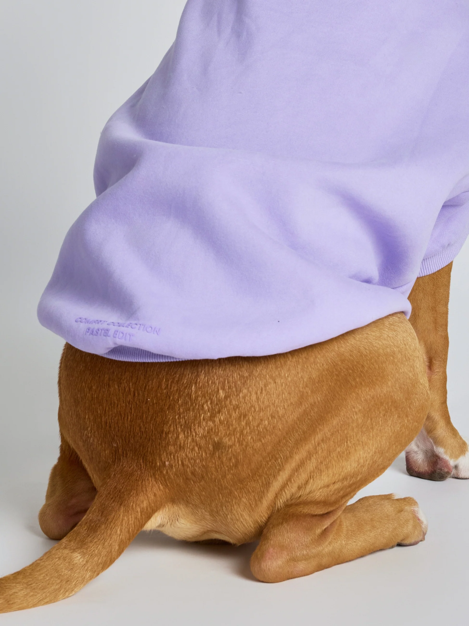 Pastel Paw Hoodie - Image 13