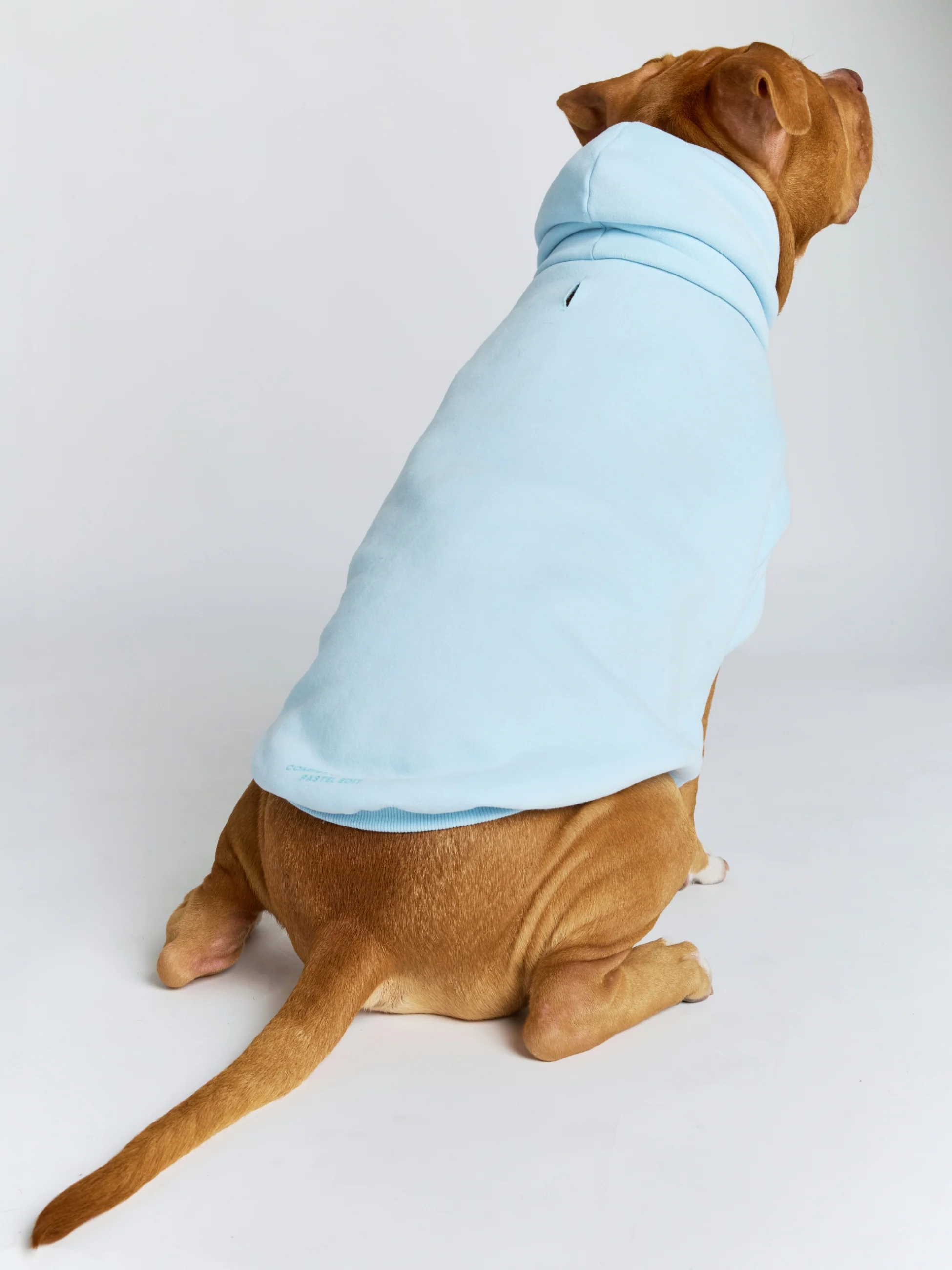 Pastel Paw Hoodie - Image 2