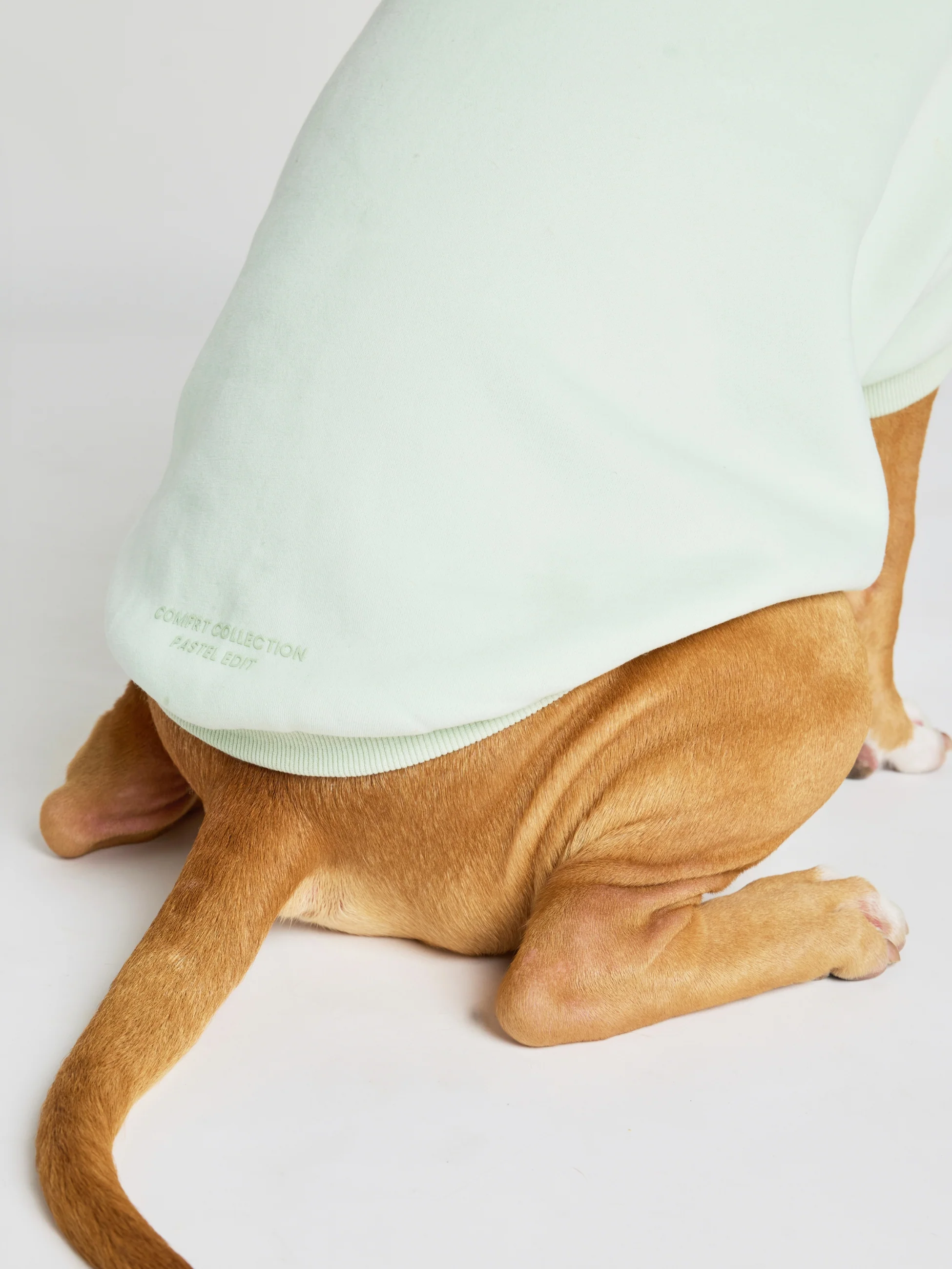 Pastel Paw Hoodie - Image 20