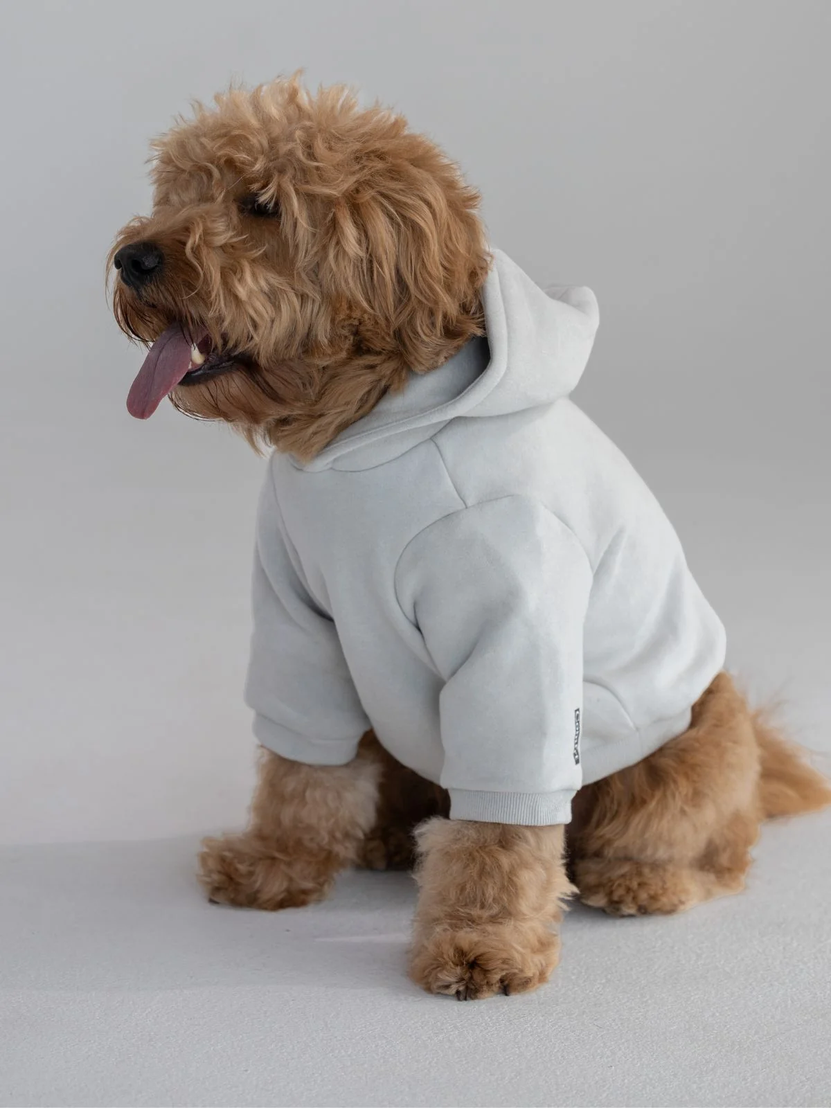 Standard Paw Hoodie - Image 11