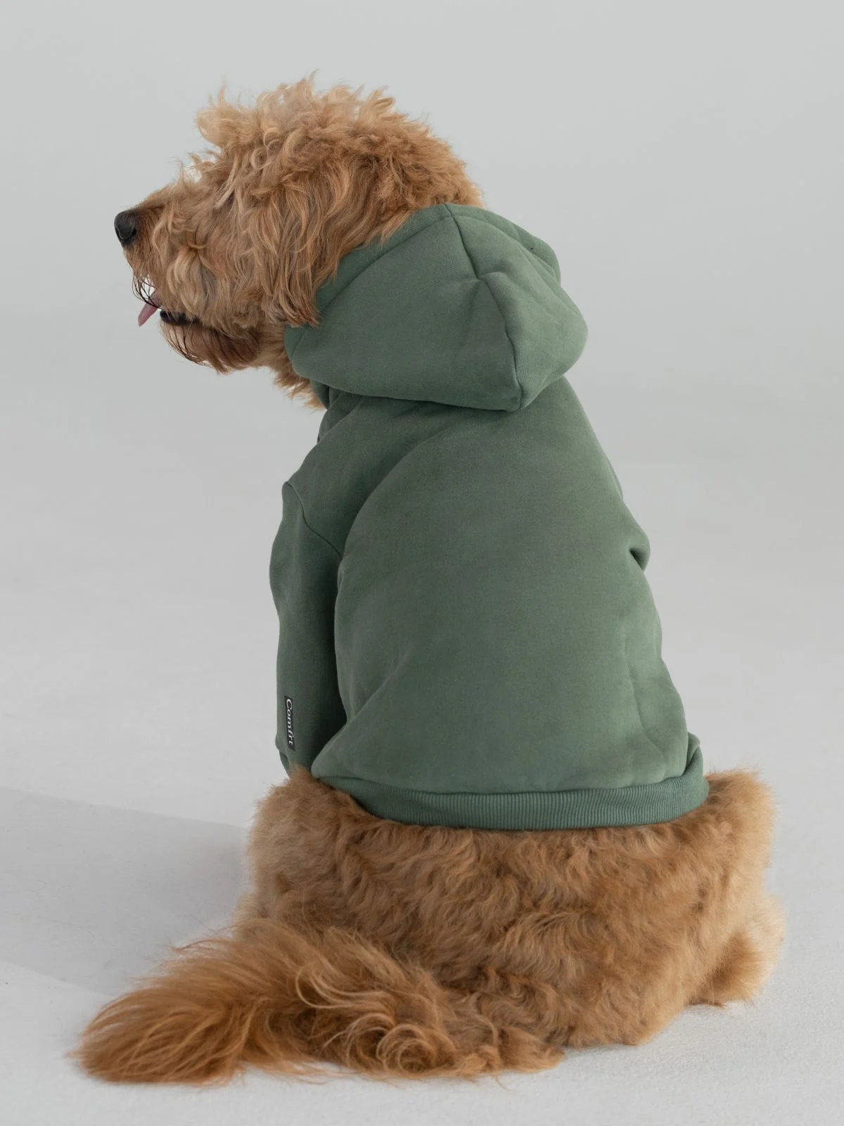 Standard Paw Hoodie - Image 12