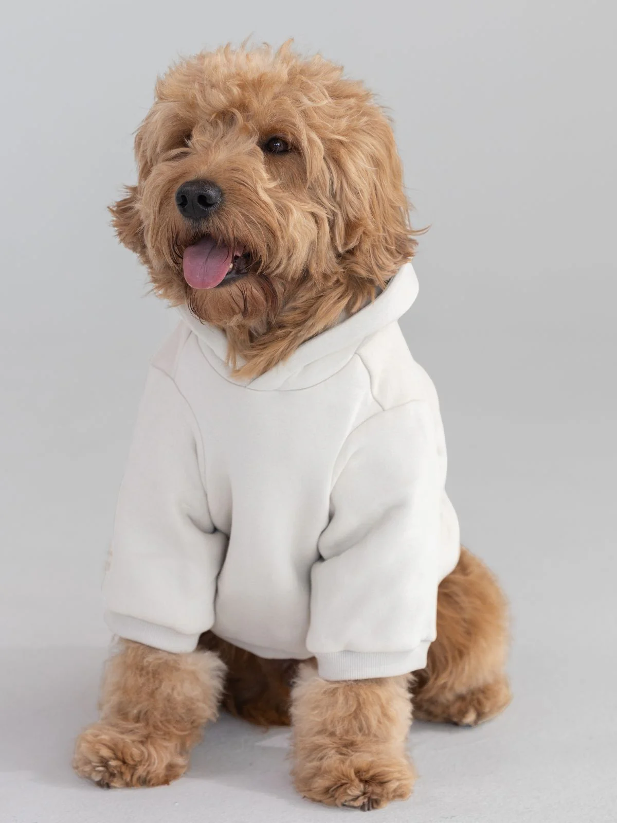 Tranquil Paw Hoodie - Image 9