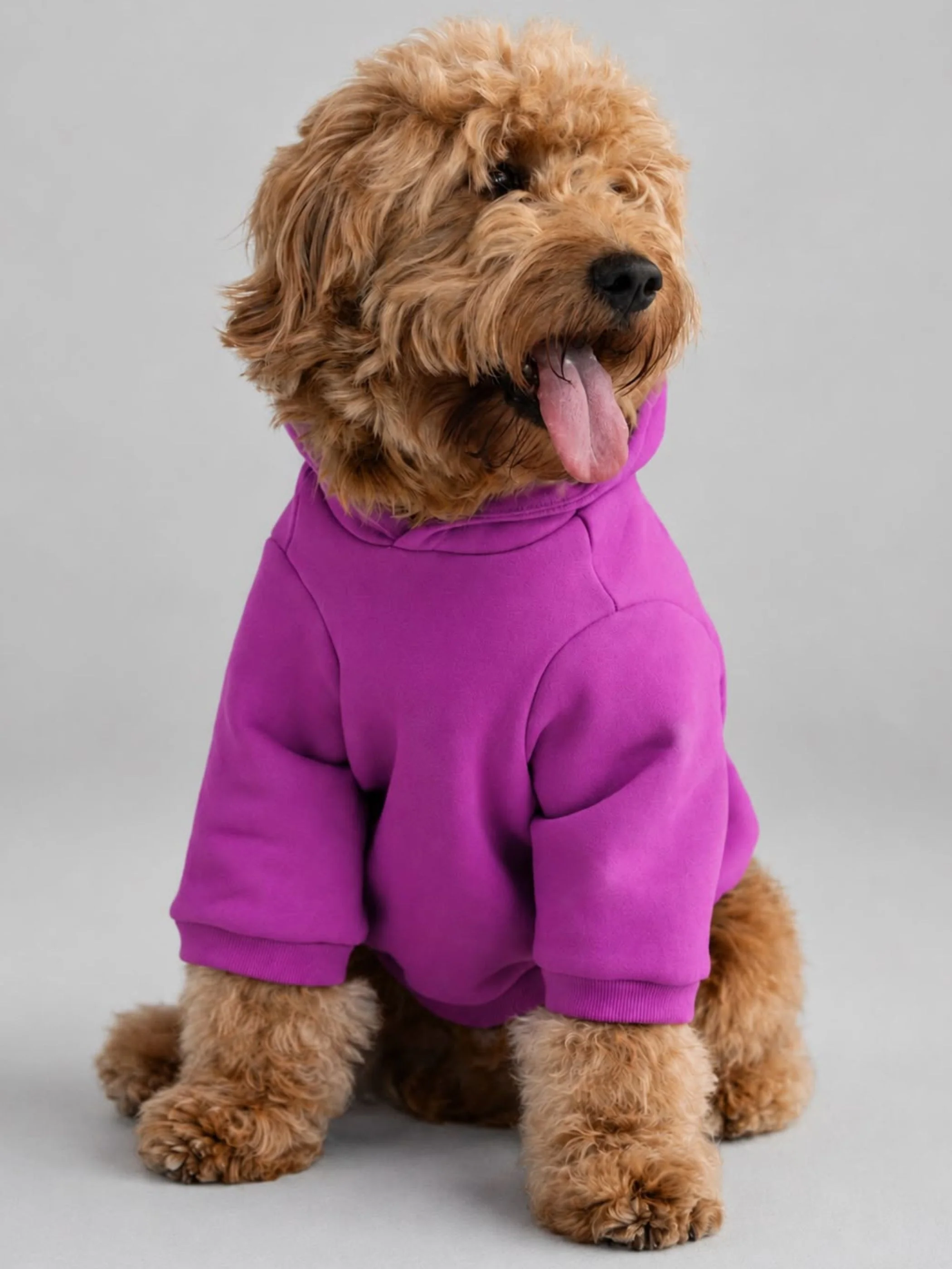 VIP Exclusive Tranquil Paw Hoodie
