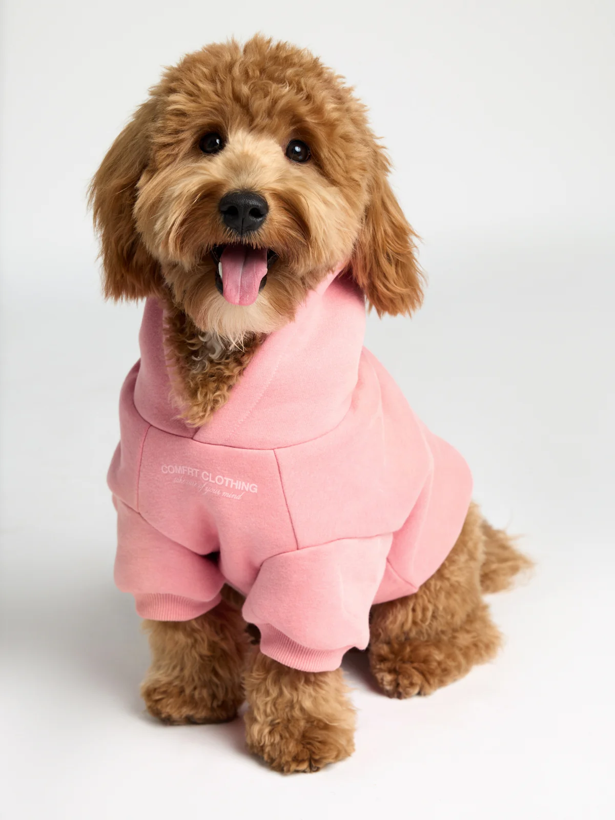 You Matter Paw Hoodie