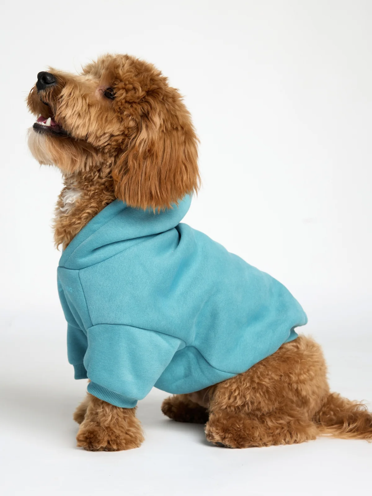 You Matter Paw Hoodie - Image 10