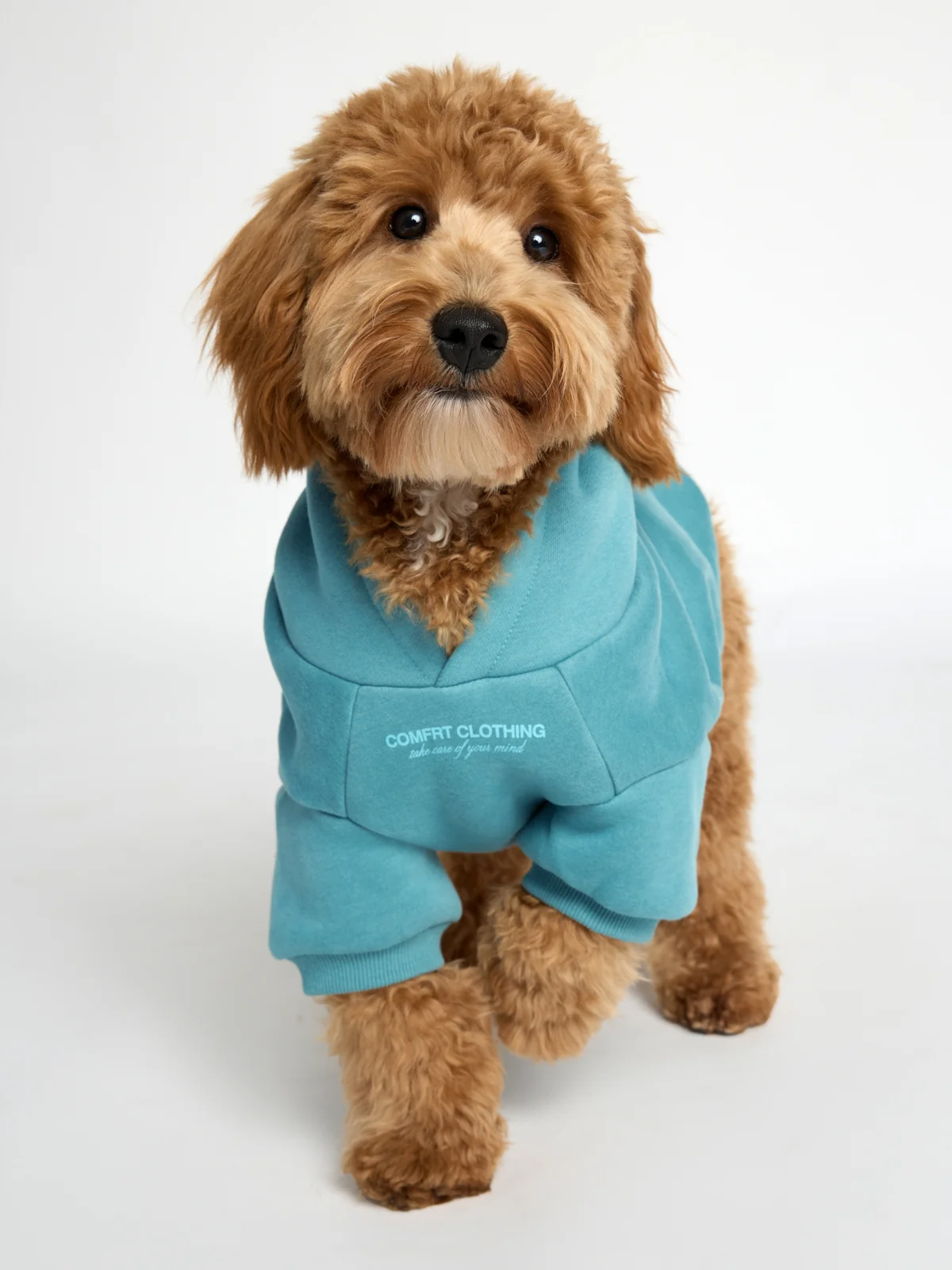 You Matter Paw Hoodie - Image 12