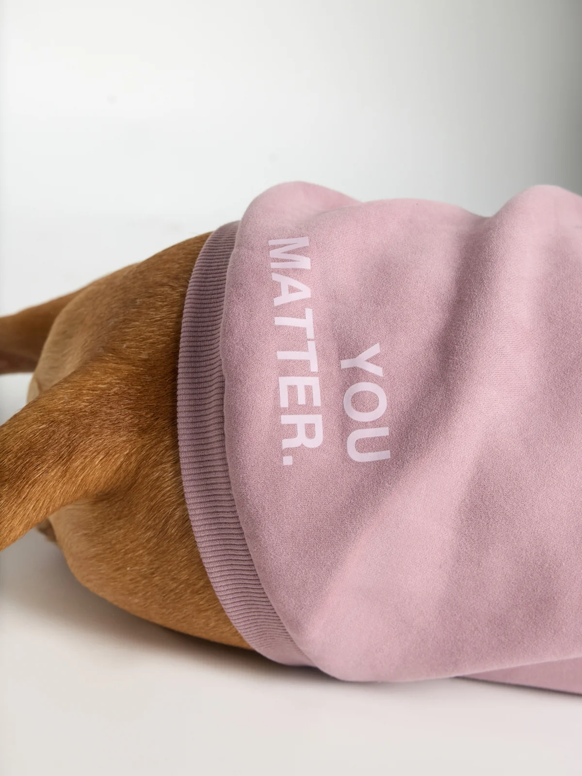 You Matter Paw Hoodie - Image 15
