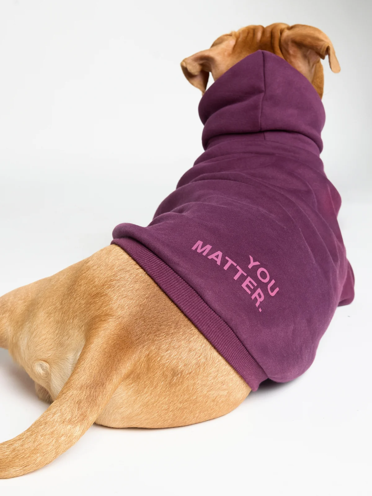 You Matter Paw Hoodie - Image 21