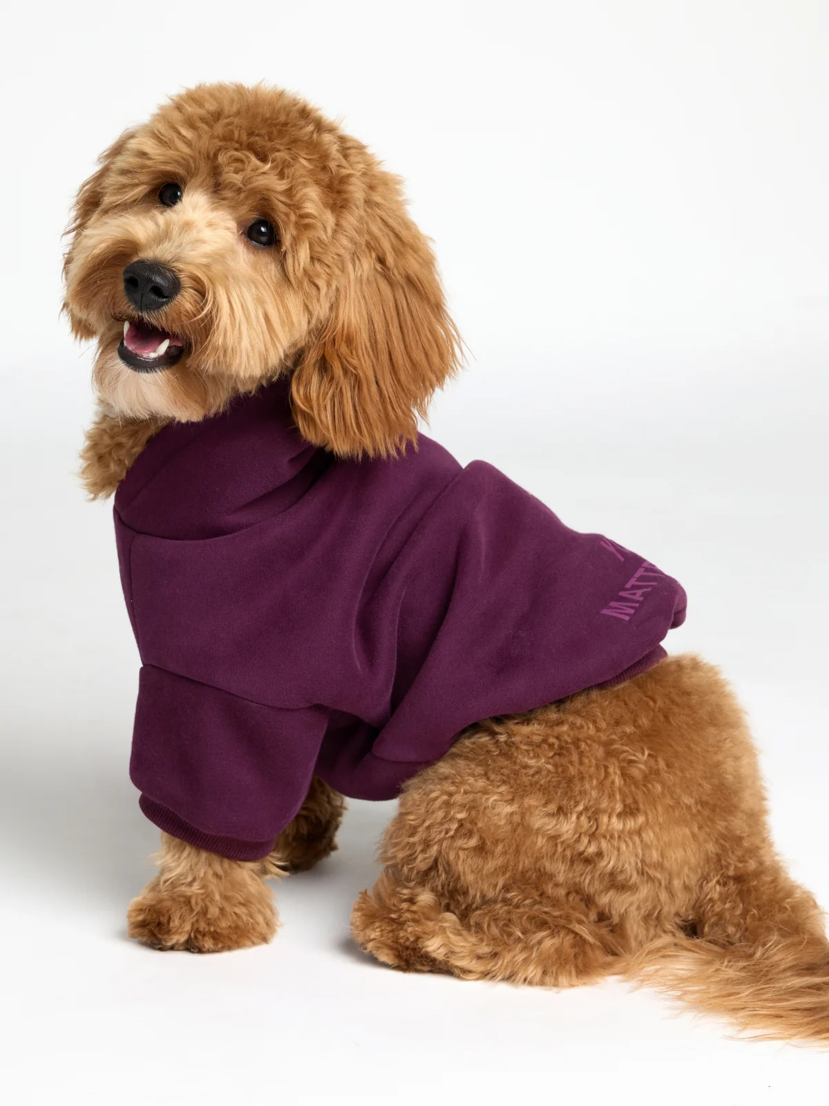 You Matter Paw Hoodie - Image 22