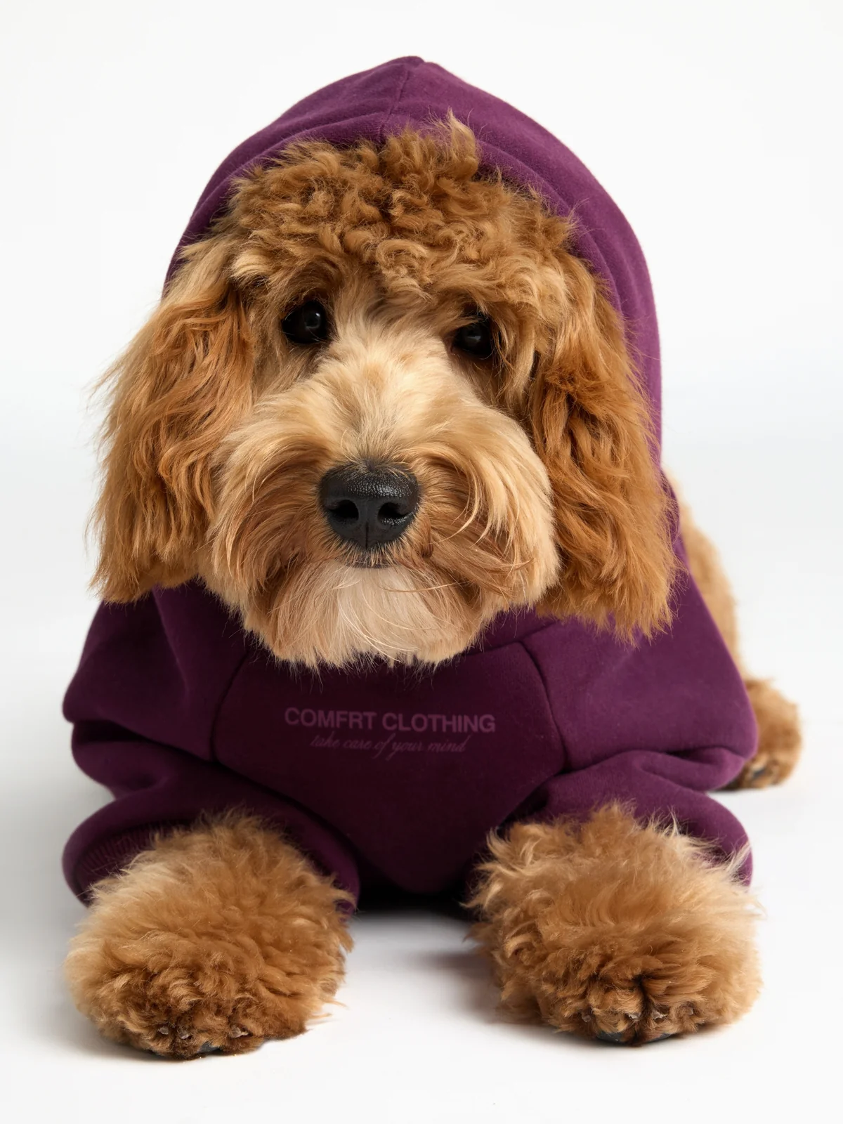 You Matter Paw Hoodie - Image 23