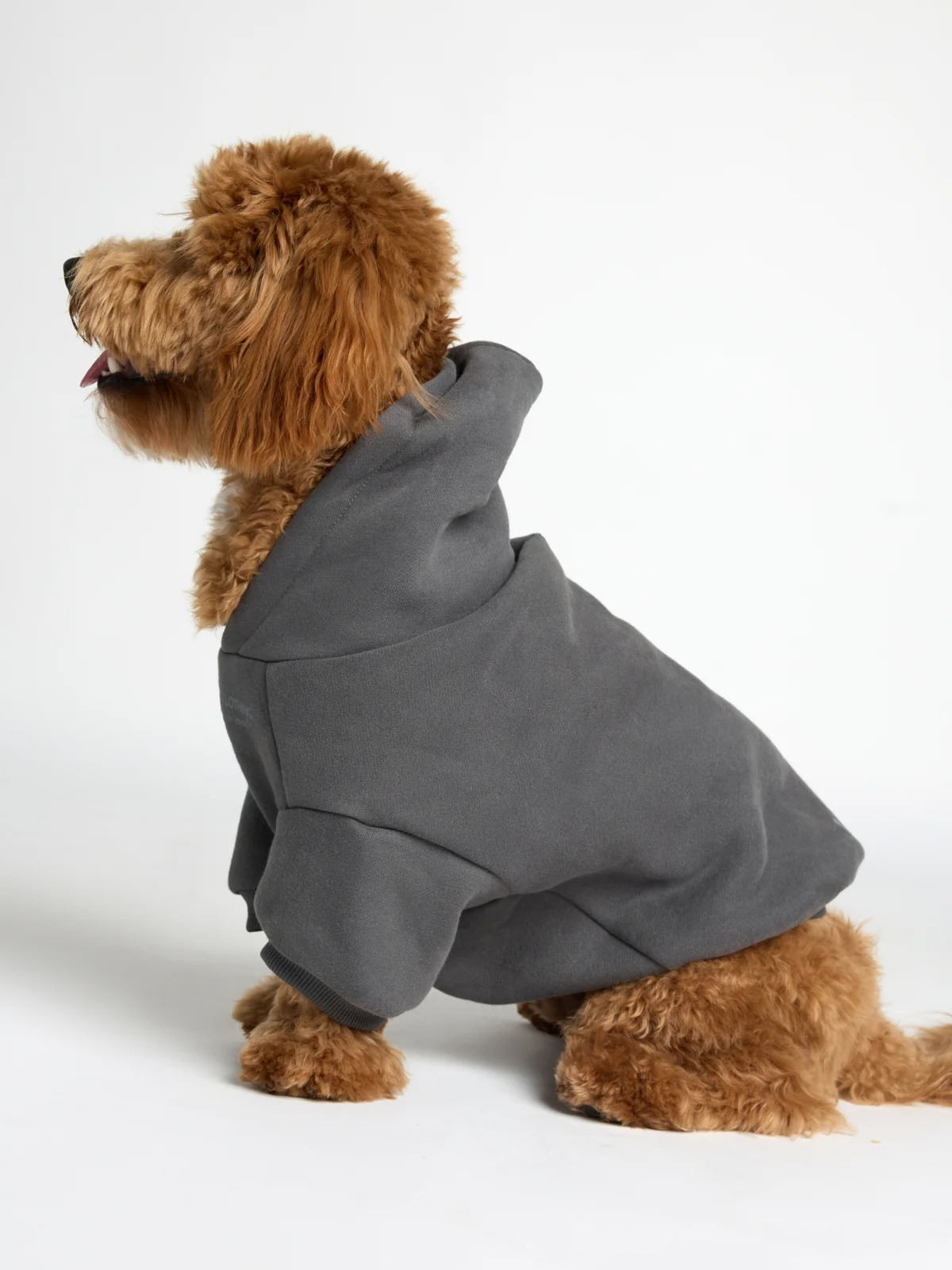 You Matter Paw Hoodie - Image 26