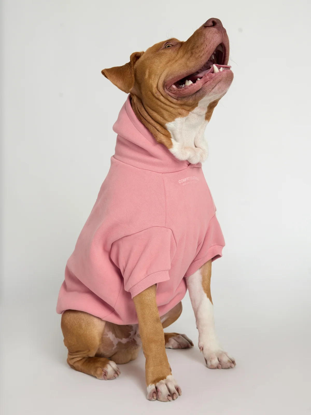 You Matter Paw Hoodie - Image 3