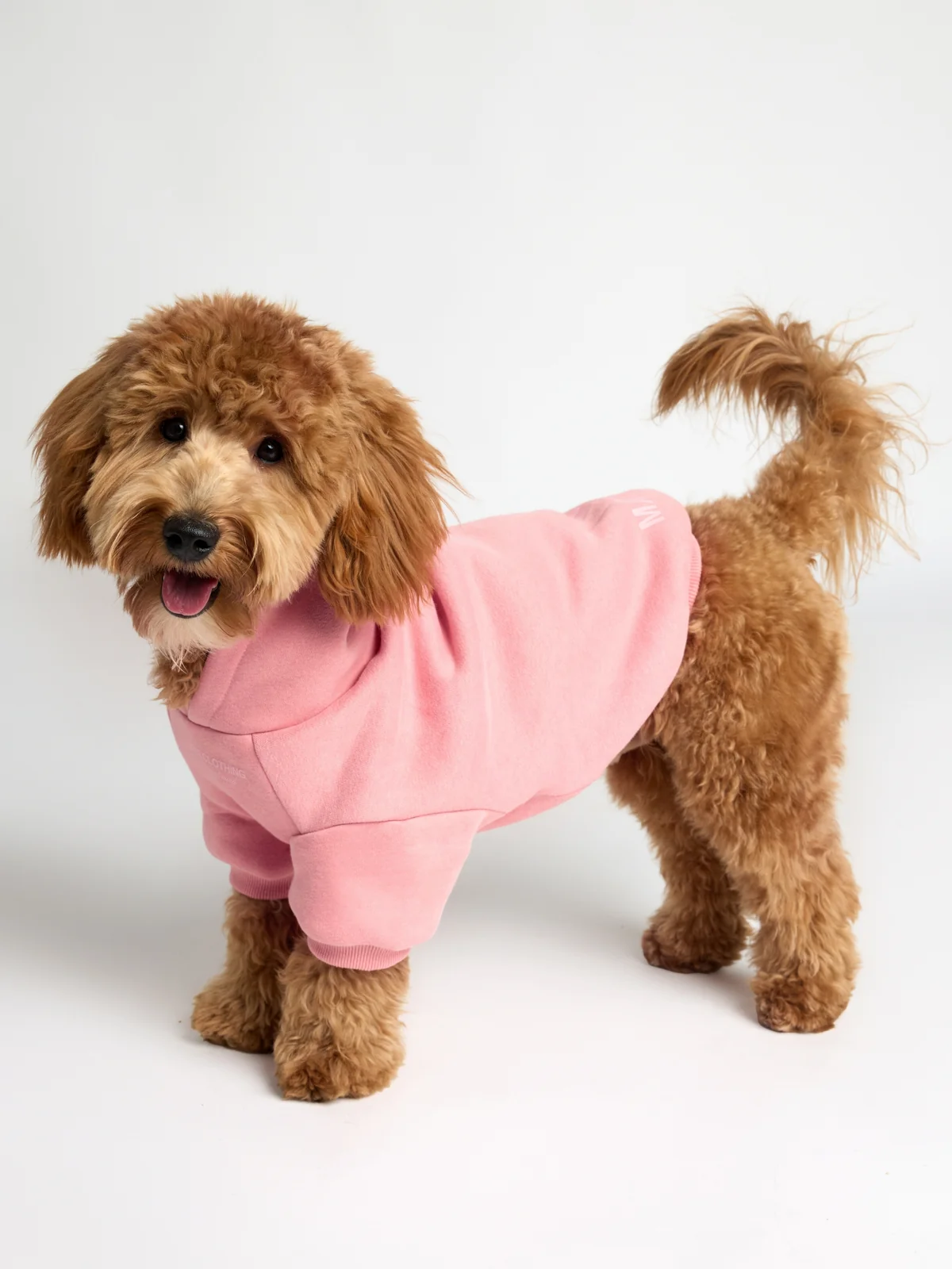 You Matter Paw Hoodie - Image 4
