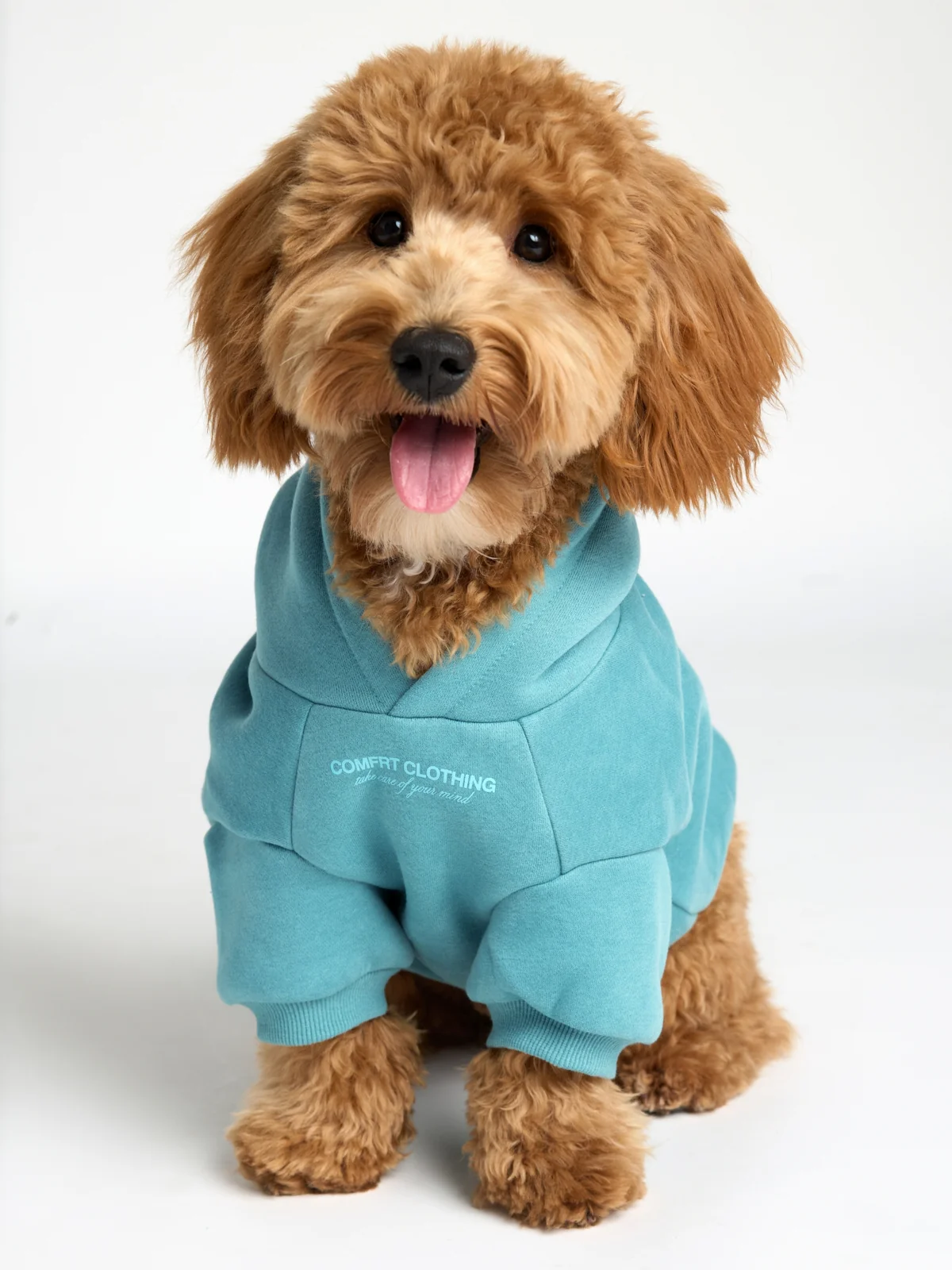 You Matter Paw Hoodie - Image 8