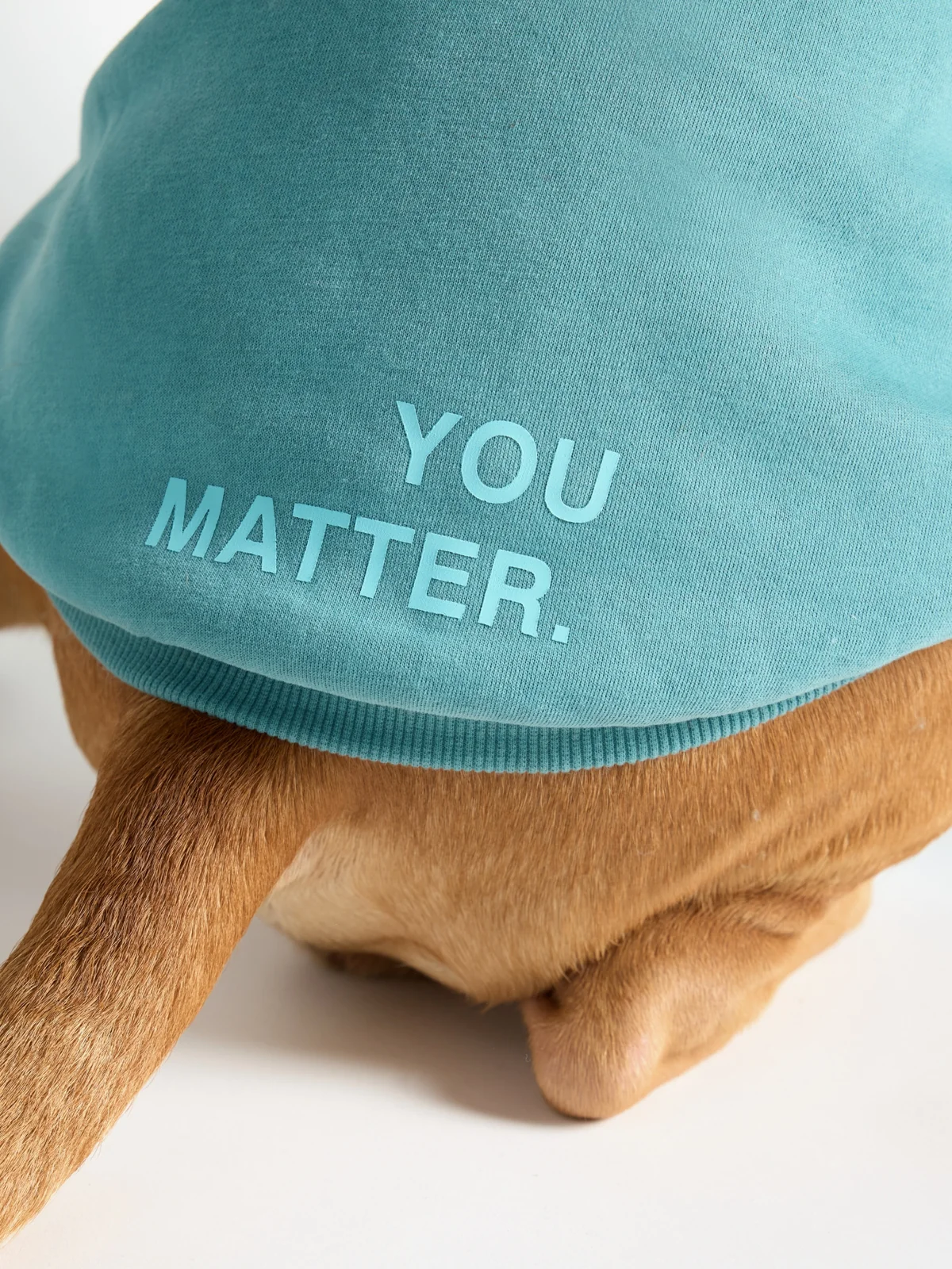 You Matter Paw Hoodie - Image 9